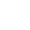 Flexible Theme Options
